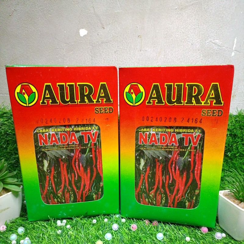 Benih Cabai Keriting NADA TV by Aura Seed Indonesia