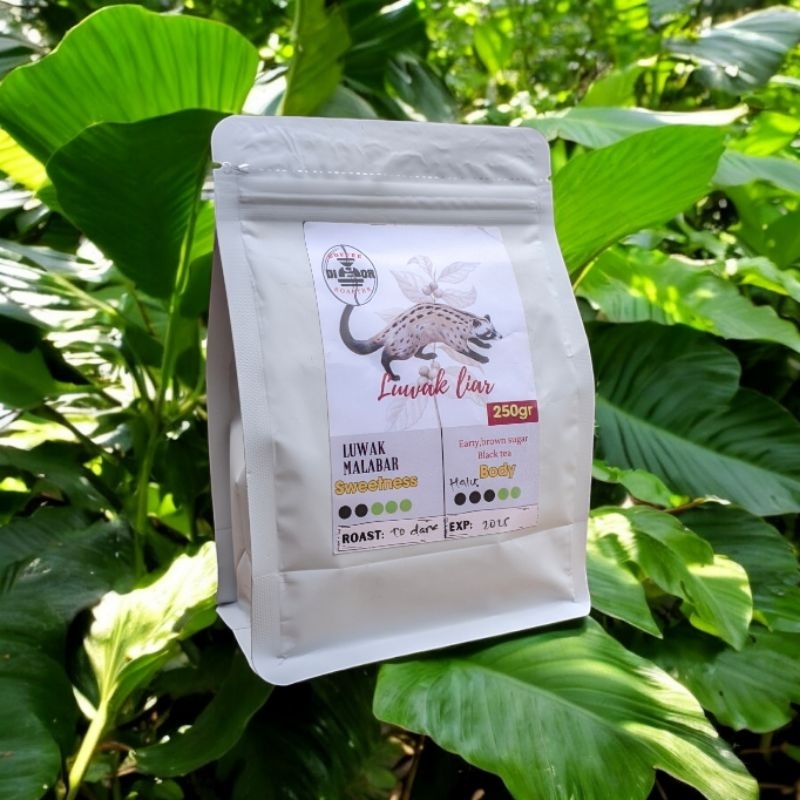 

kopi arabika LUWAK LIAR malabar kemasan 250gr biji dan bubuk