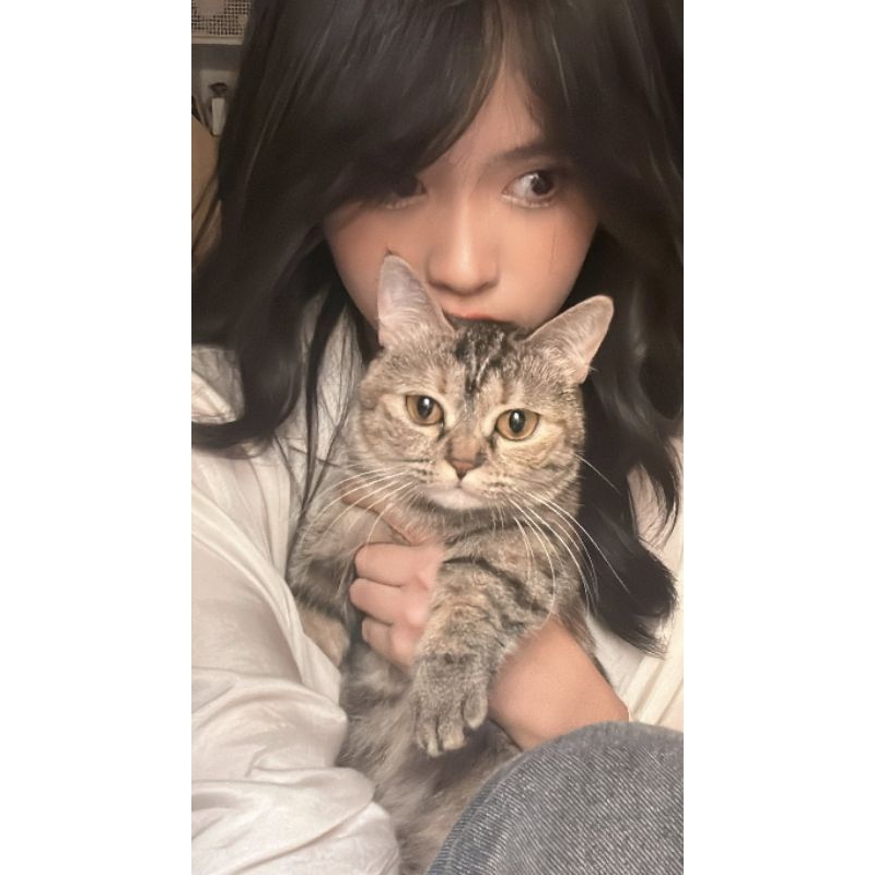 

buat ami