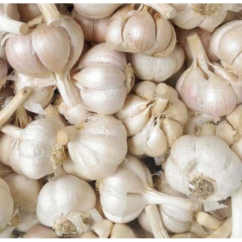

Bawang putih reguler 500 gram