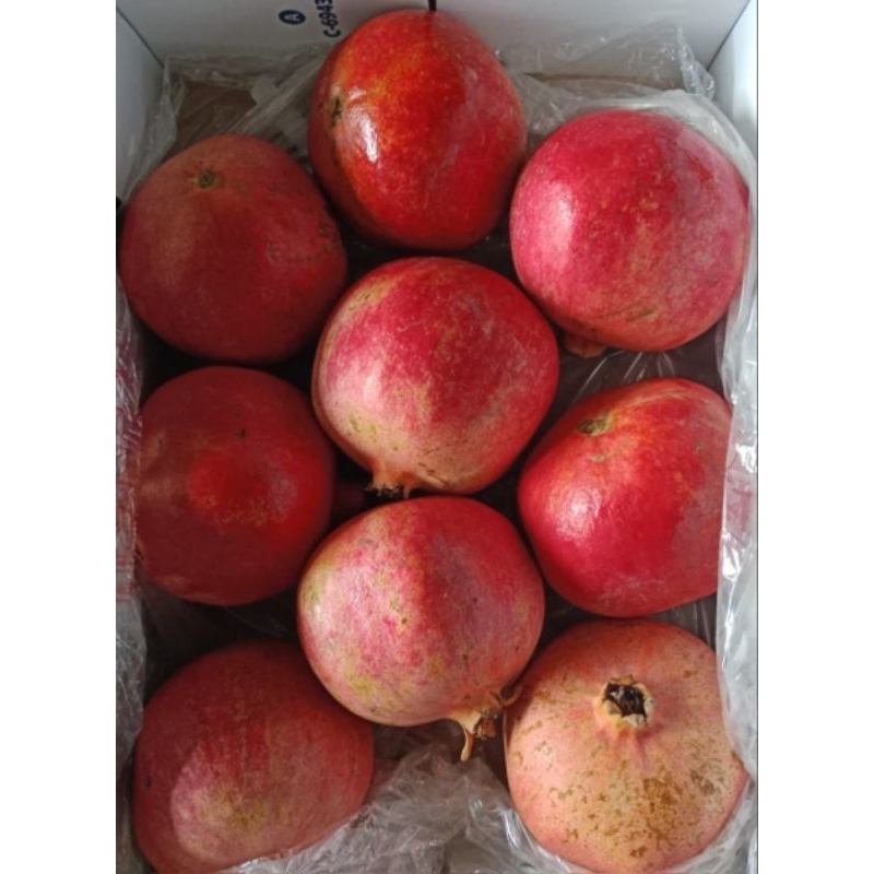 

DELIMA PREMIUM MESIR POMEDRANATE 1 KG