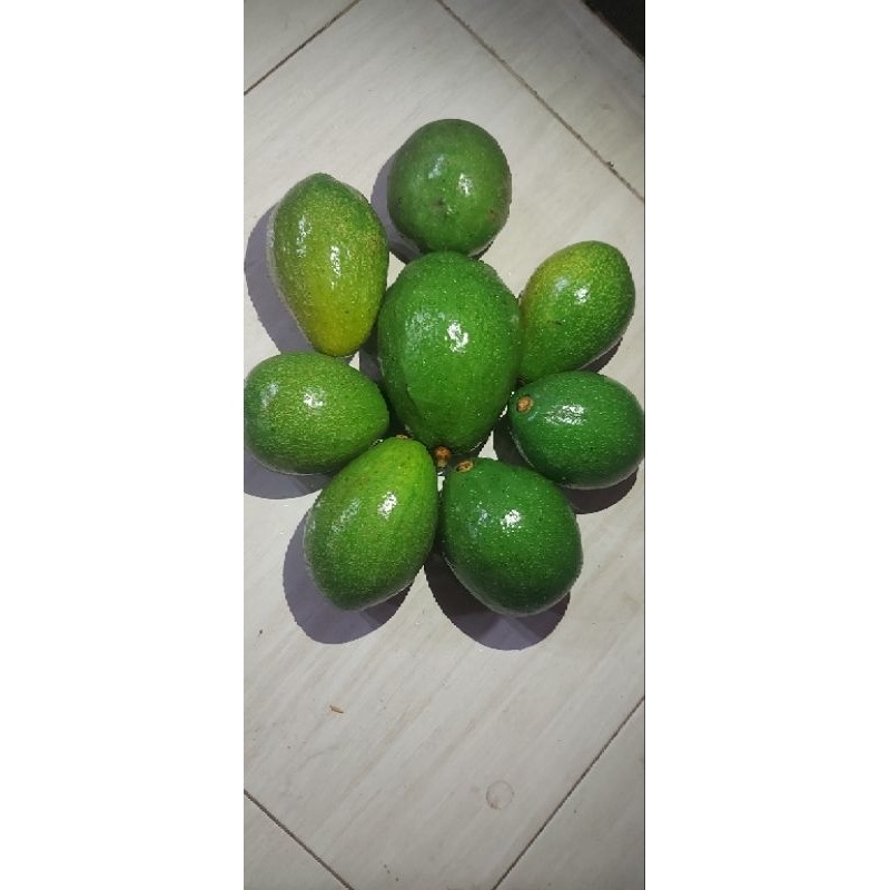 

ALPUKAT MENTEGA SUPER LEGIT 1KG ISI 4