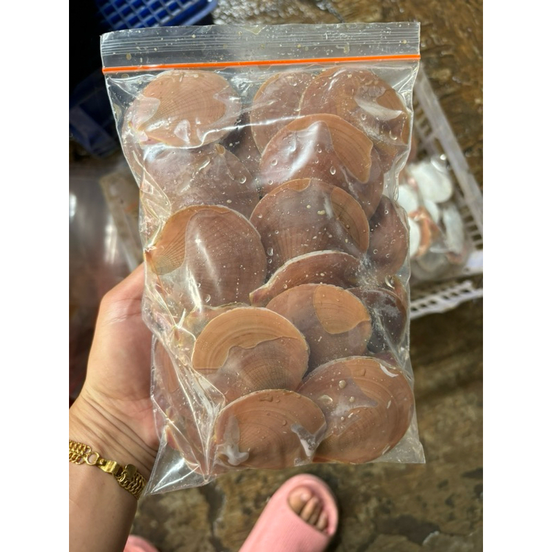 

KERANG SIMPING BESAR 500gram