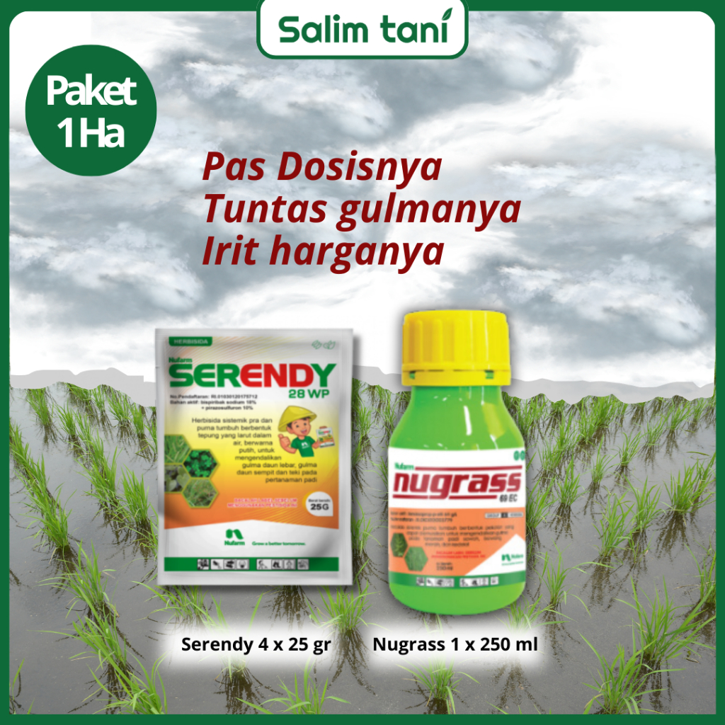 Serendy + Nugrass Paket Obat Rumput Ampuh Untuk Tanaman Padi