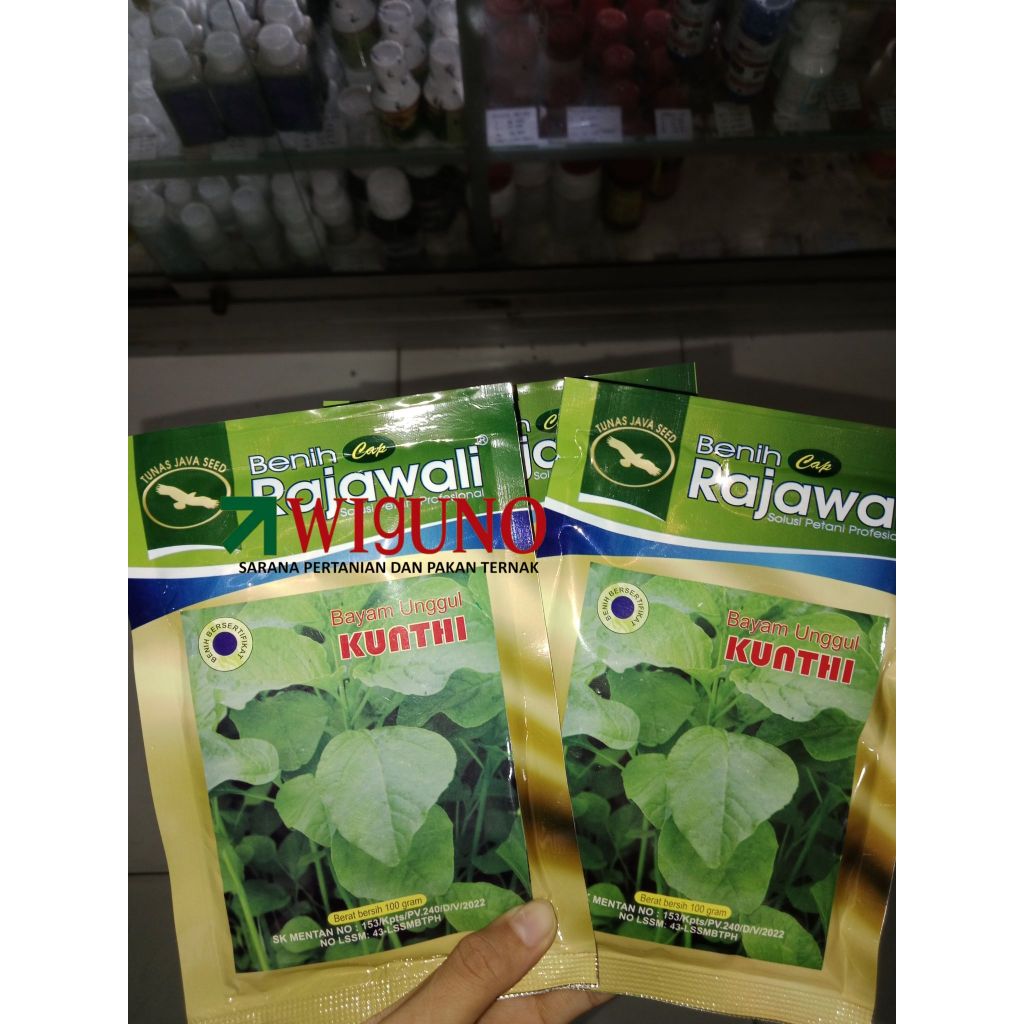 Benih Bayam Kunthi 100 gr & 500 gr/bibit bayam/benih bayam rajawali