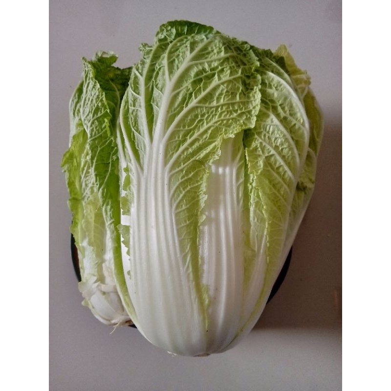 

Sawi putih segar 500 gr