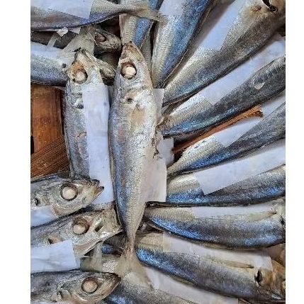 

benggol rebus ukuran kecil 6 ekor (optional)