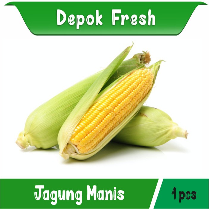 

JAGUNG MANIS SEGAR