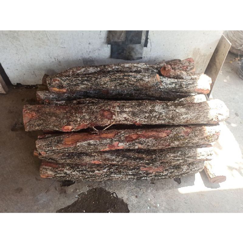 Arjunawiwaha17 Bahan Kerajinan Kayu Stigi Asli Berat 1 Kg