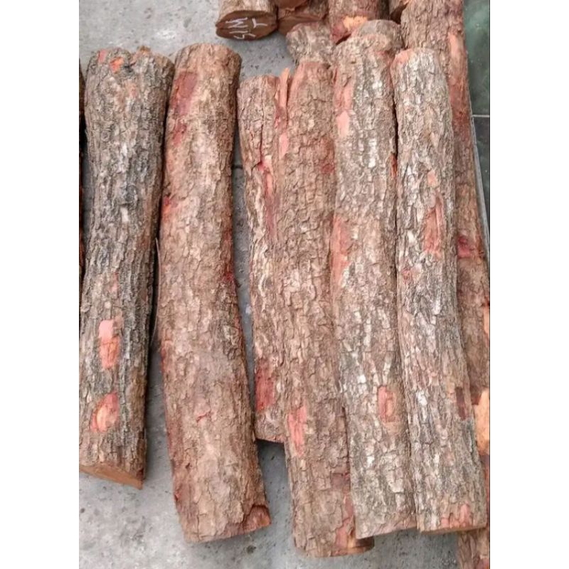 Bahan kerajinan batangan kayu stigi asli tenggelam di air panjang ±60 cm