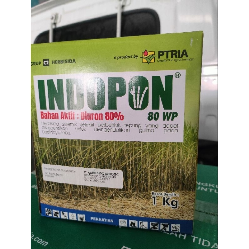 Indopon Diuron 80WP 1KG