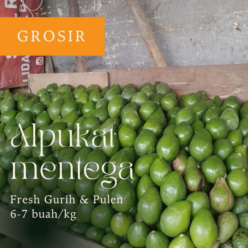 

Alpukat Mentega Fresh 1kg 5-6-7/kg