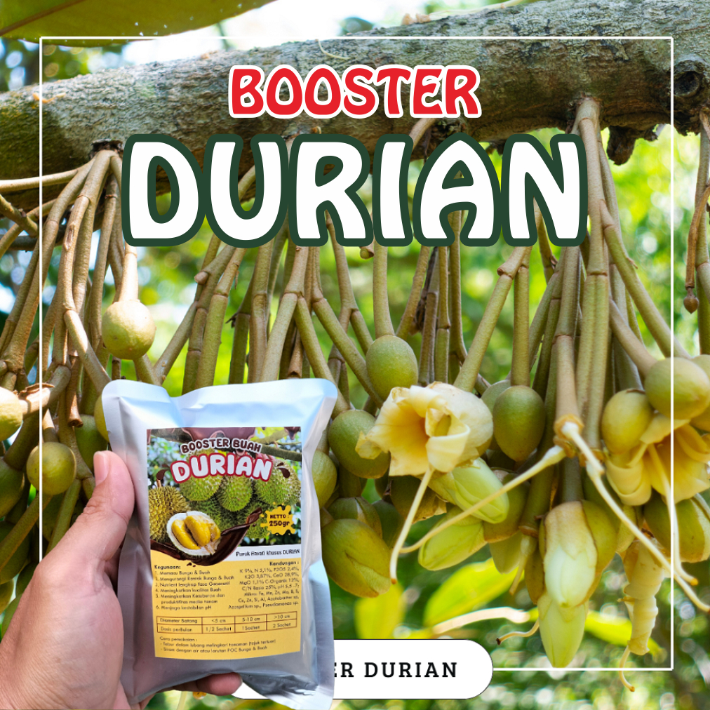 Booster Durian / Pupuk Booster Hayati Khusus Tanaman Durian