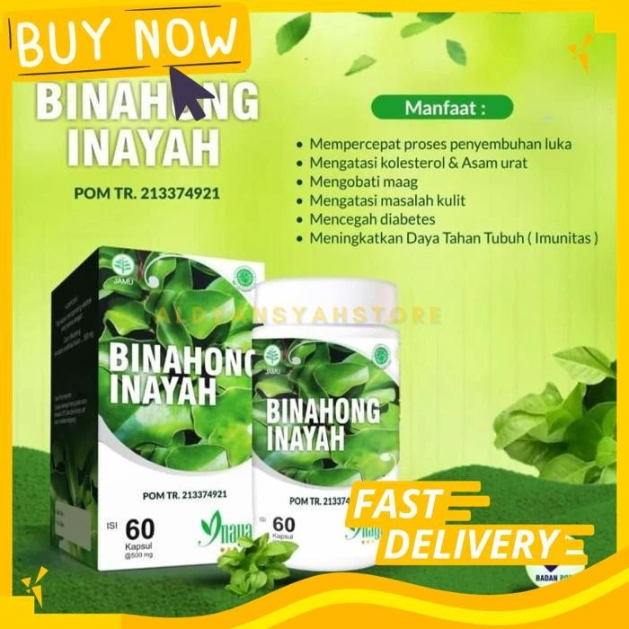 BINAHONG ORIGINAL KAPSUL DAUN BINAHONG ORIGINAL 100%