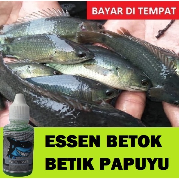 ESSEN IKAN BETOK IKAN BETIK IKAN PAPUYU ISI 30ML