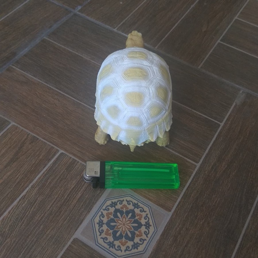 patung/resin/pajangan/hiasan/mainan/souvenir kura darat sulcata albino