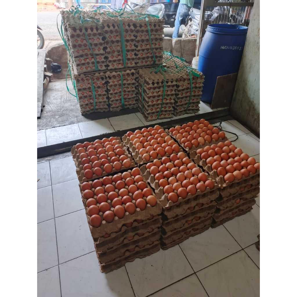 

DA Telur Ayam Negri Per Kg (Kilogram)