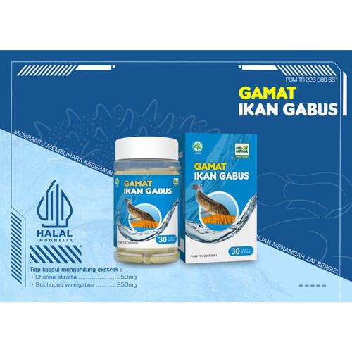 GAMAT IKAN GABUS AL-AFIAT 30 KAPSUL - Original IKAN GABUS