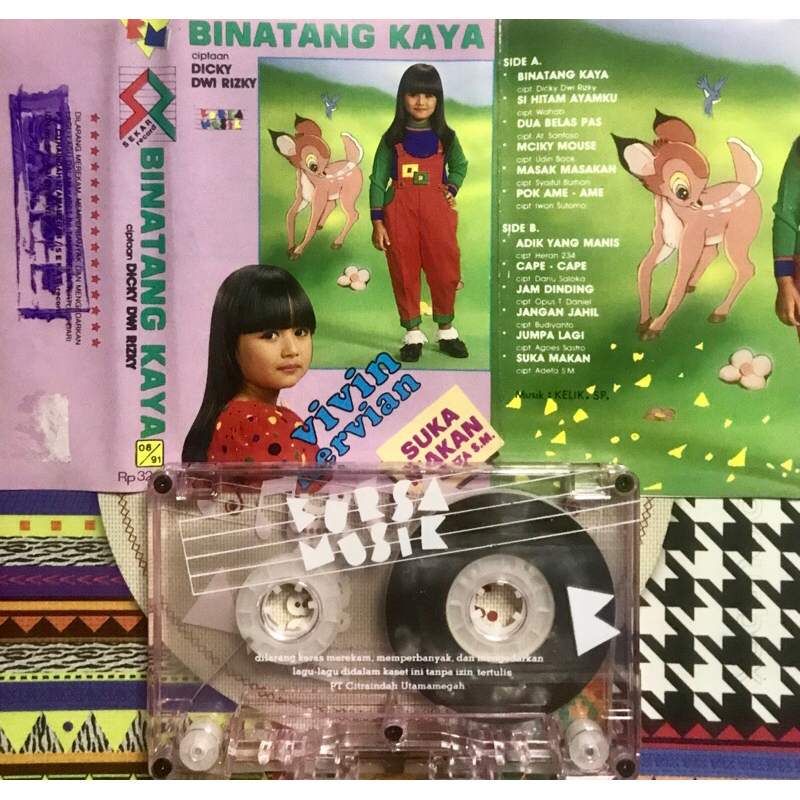 KASET PITA VIVIAN ERVIAN