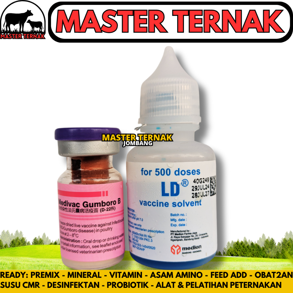 VAKSIN MEDIVAC GUMBORO B 500 DOSIS + PELARUT - Vaksin Gumboro IBD Aratan Ayam Burung Unggas