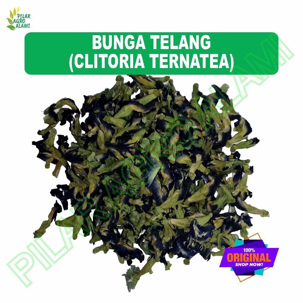 

Bunga telang kering murah ekonomis
