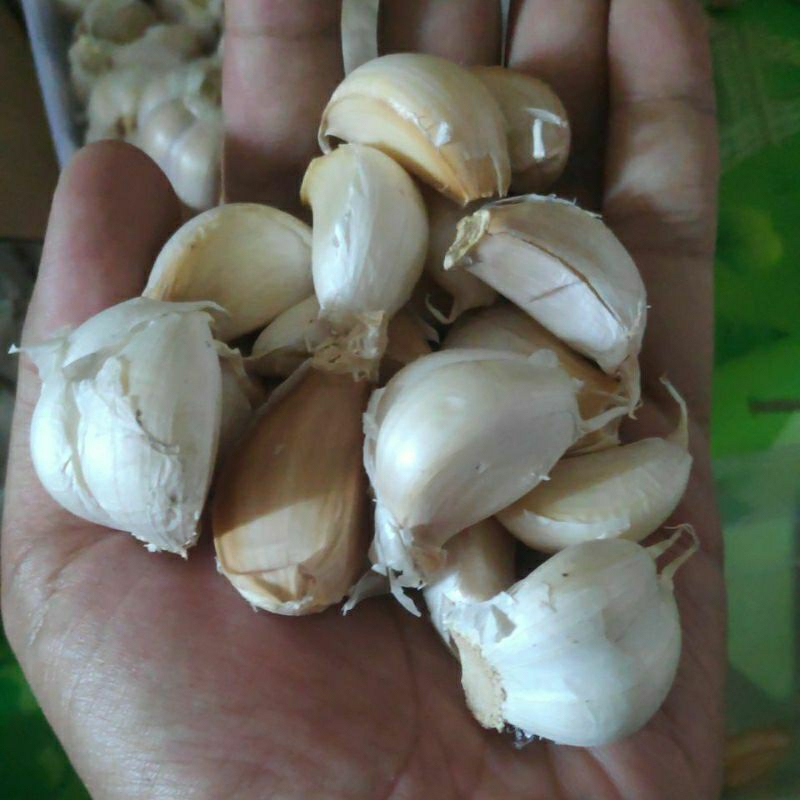 

BAWANG PUTIH KATING 500GR BAWANG PUTIH PROTOLAN BAWANG PUTIH KECIL
