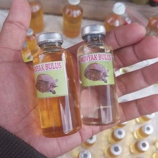 Satu Paket Minyak Bulus Putih dan Minyak Bulus Kuning Asli Kalimantan