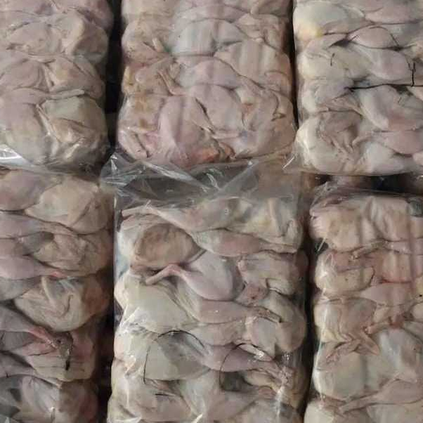 

Burung puyuh mentah grade A Beku isi 10