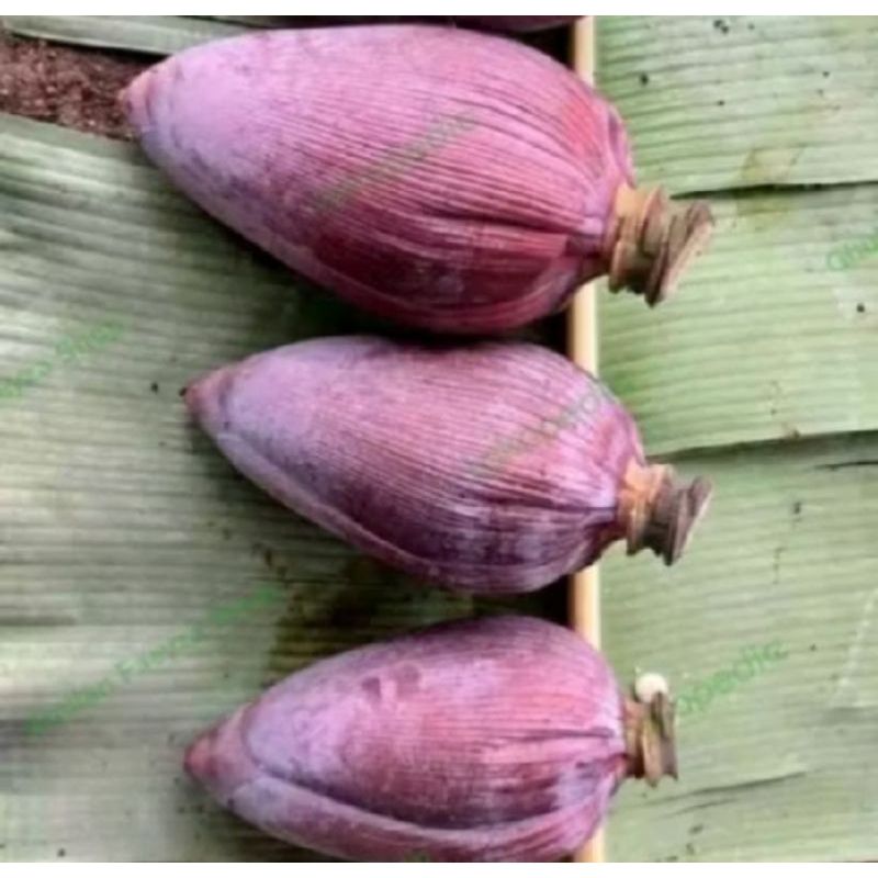 

jantung pisang kepok satu pcs