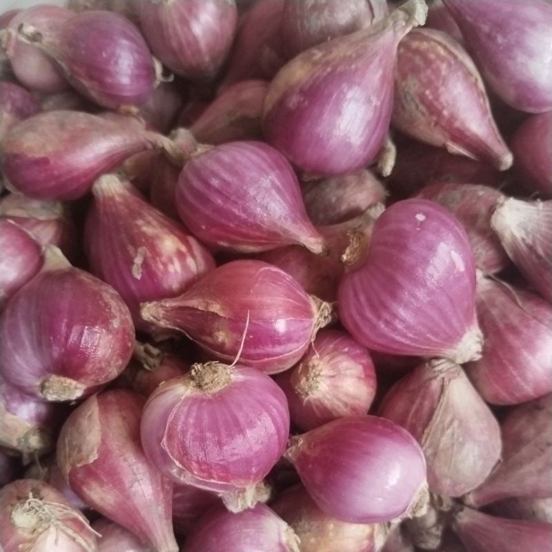 

Bawang merah ukuran besar 1kg