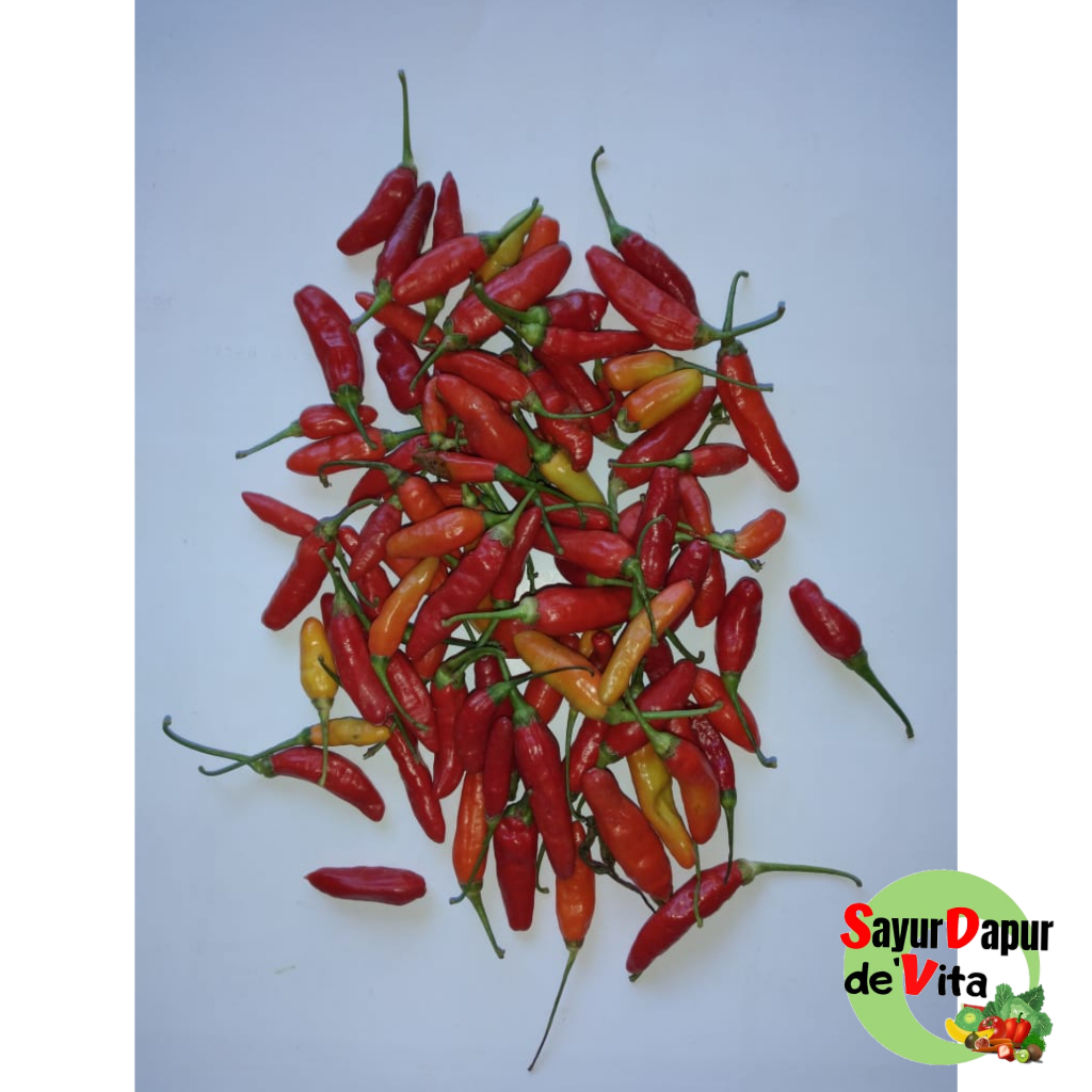 

cabai rawit 1000 gram