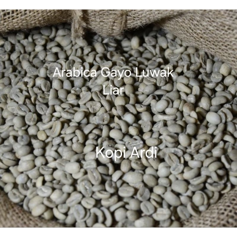 Biji Kopi Mentah/Grean Bean(GB) Arabica Aceh Gayo Luwak liar 500 Gram / 1 Kg