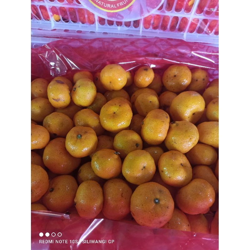 

jeruk santang 1keranjang