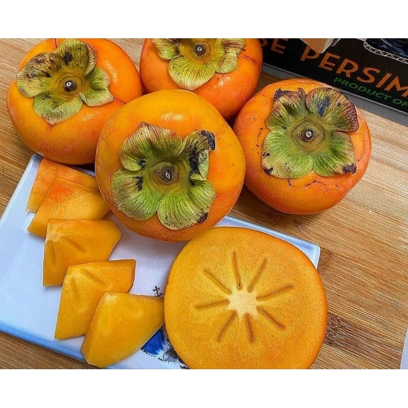 

Persimon Import