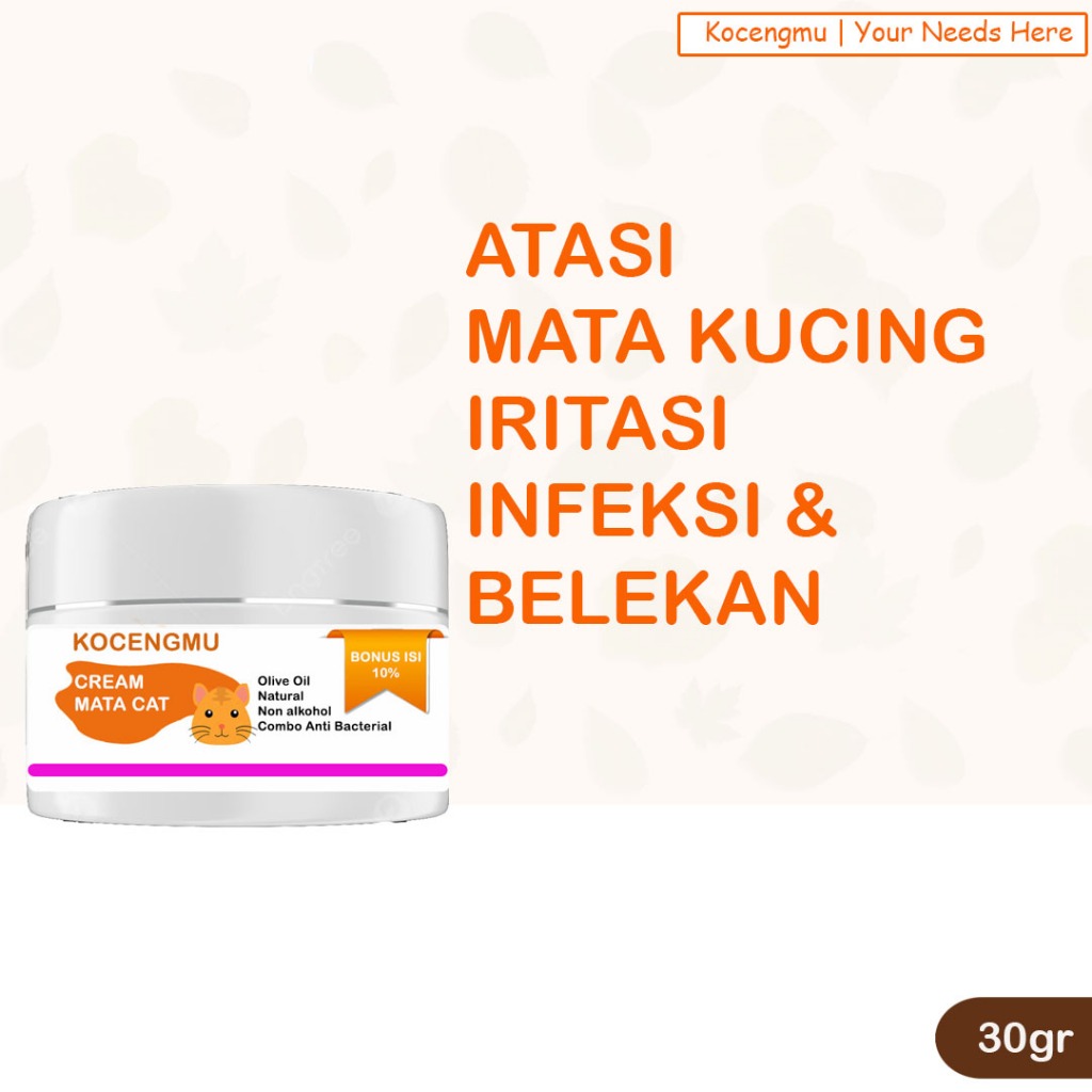Obat Mata Kucing Belekan Berair Salep Mata Kucing Kitten Berselaput Putih Sakit Mata Kucing Kocengmu