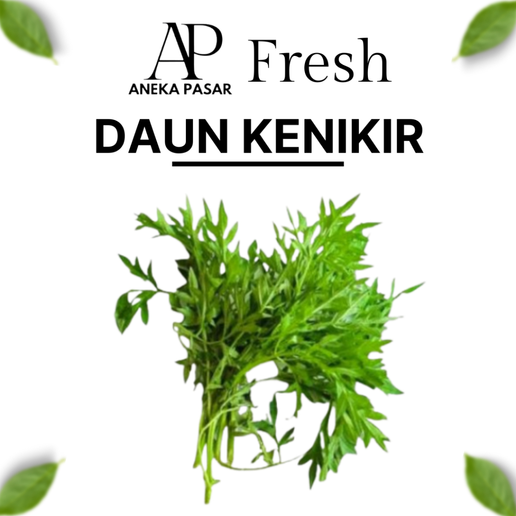 

DAUN KENIKIR - Per Ikat Sayur Sayuran Segar