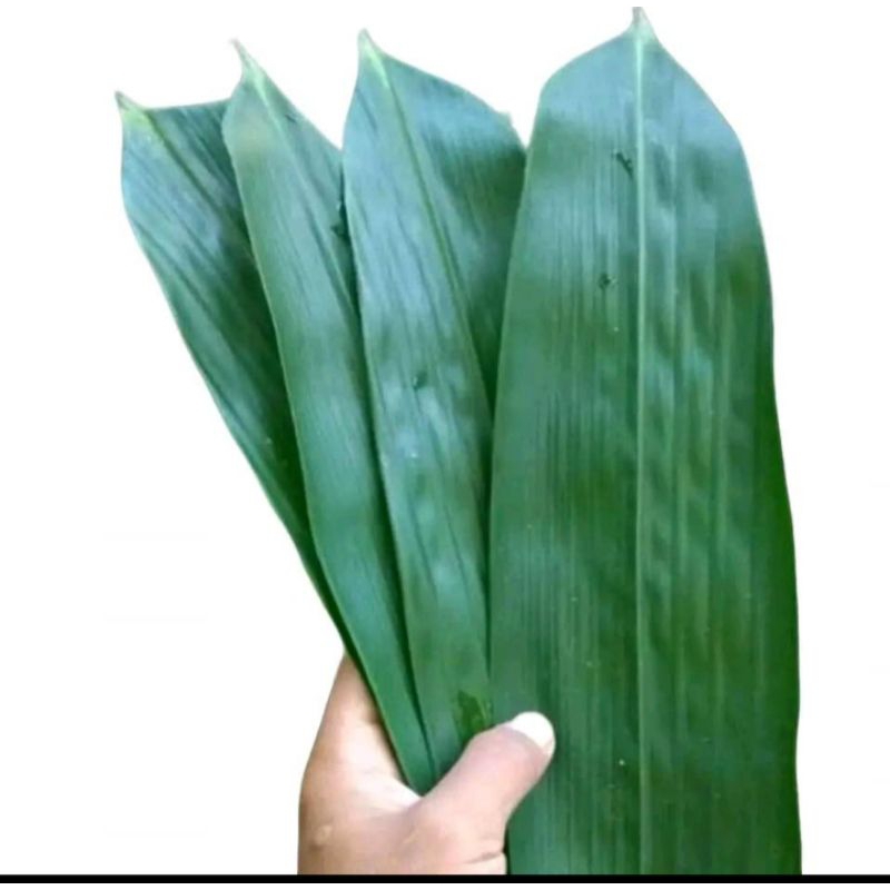 

100 lembar daun bambu bacang bakcang
