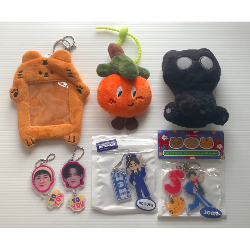 SEVENTEEN KEYCHAIN DOLL PC PHOTOCARD HOLDER Wonwoo Scoups Hoshi Preloved