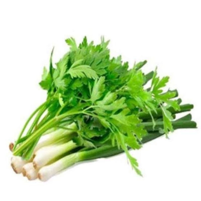 

DAUN BAWANG SELEDRI SEGAR
