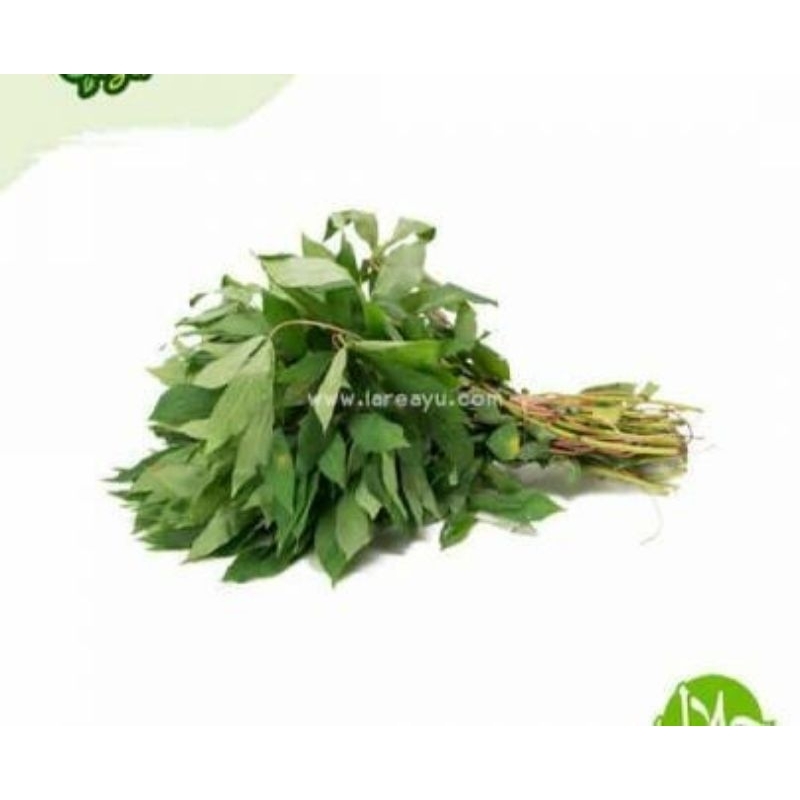 

sayur daun singkong satu ikat