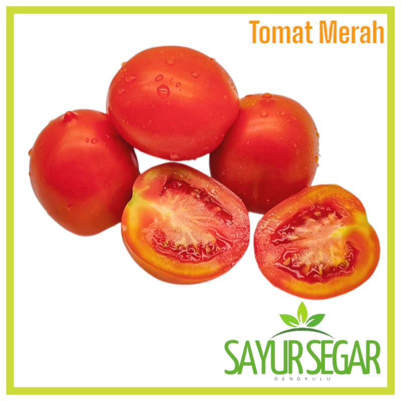 

Tomat Merah