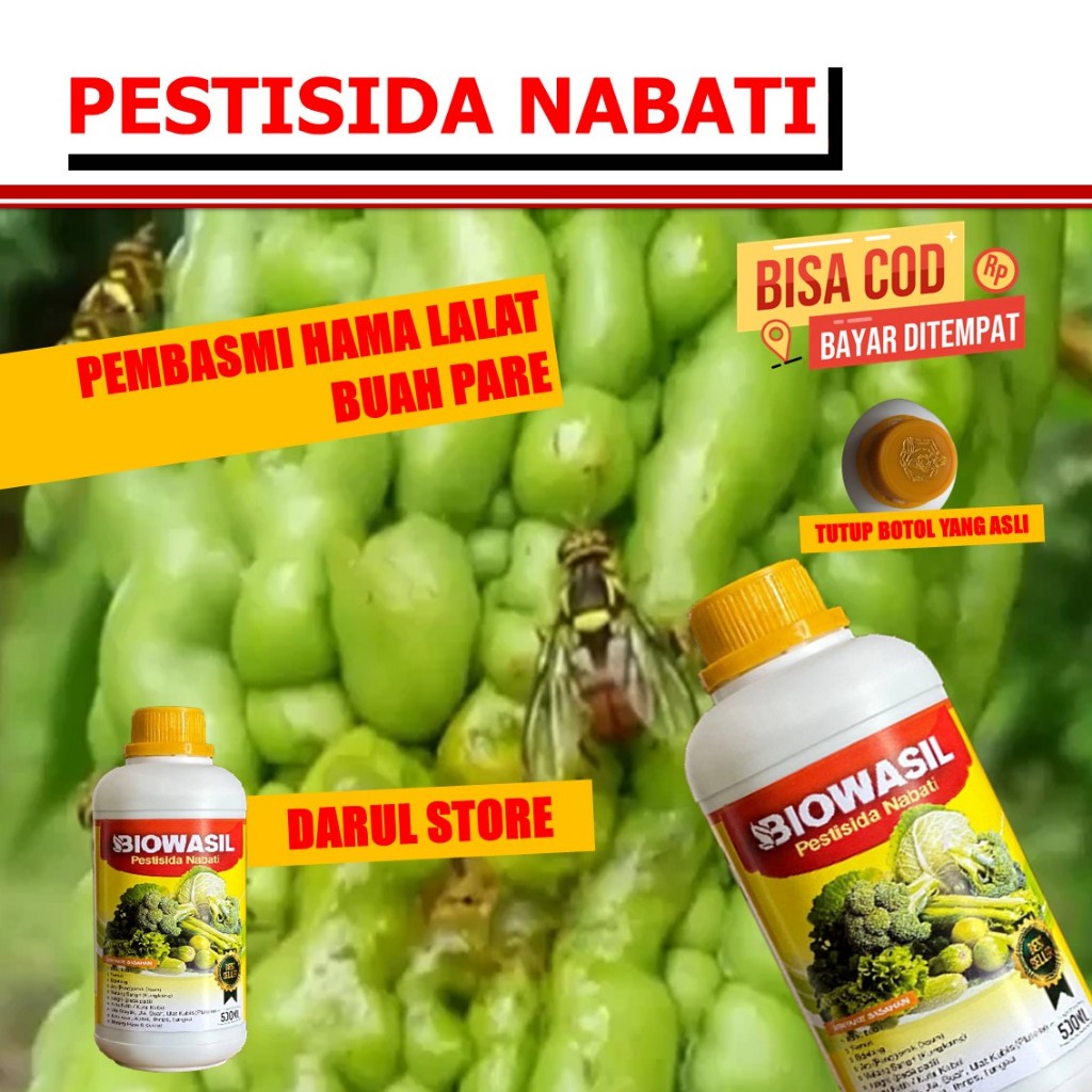 Pestisida Hama Lalat Buah Pare BIOWASIL Paling Bagus - Insektisida Buah Pare Mengatasi Lalat Buah Me