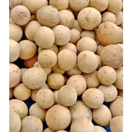

buah duku 1 kg