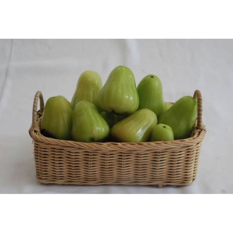 Bibit jambu air MDH okulasi rimbun