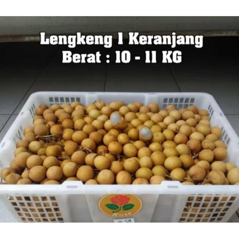 

buah klengkeng bangkok 1 keranjang 10-11kg
