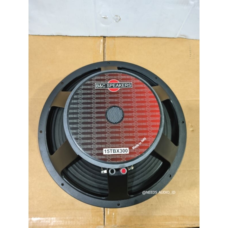 speaker 15 inch BNC TBX300