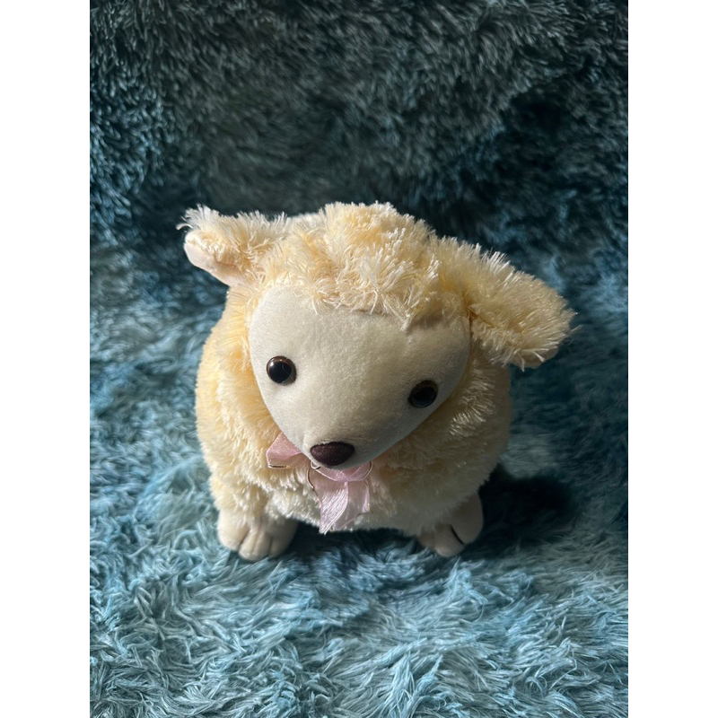 Boneka Domba Tanpa Tanduk Domba Cewe  Size M 35cm Lucu Bertanduk Cream /  kado / Souvenir Aqiqah