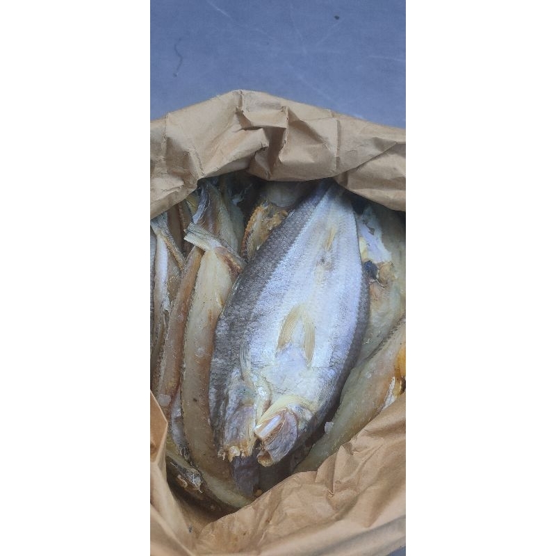

Ikan Asin | Gabus pasir Kualitas Super
