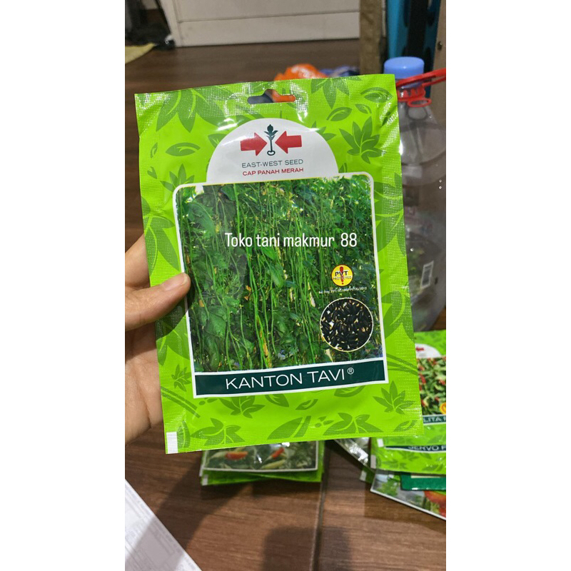 Benih bibit Kacang Panjang Kanton Tavi cap panah merah