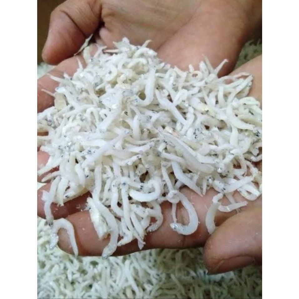 

1kg Teri Medan / Ikan Teri Nasi Medan / Teri putih Best Seller
